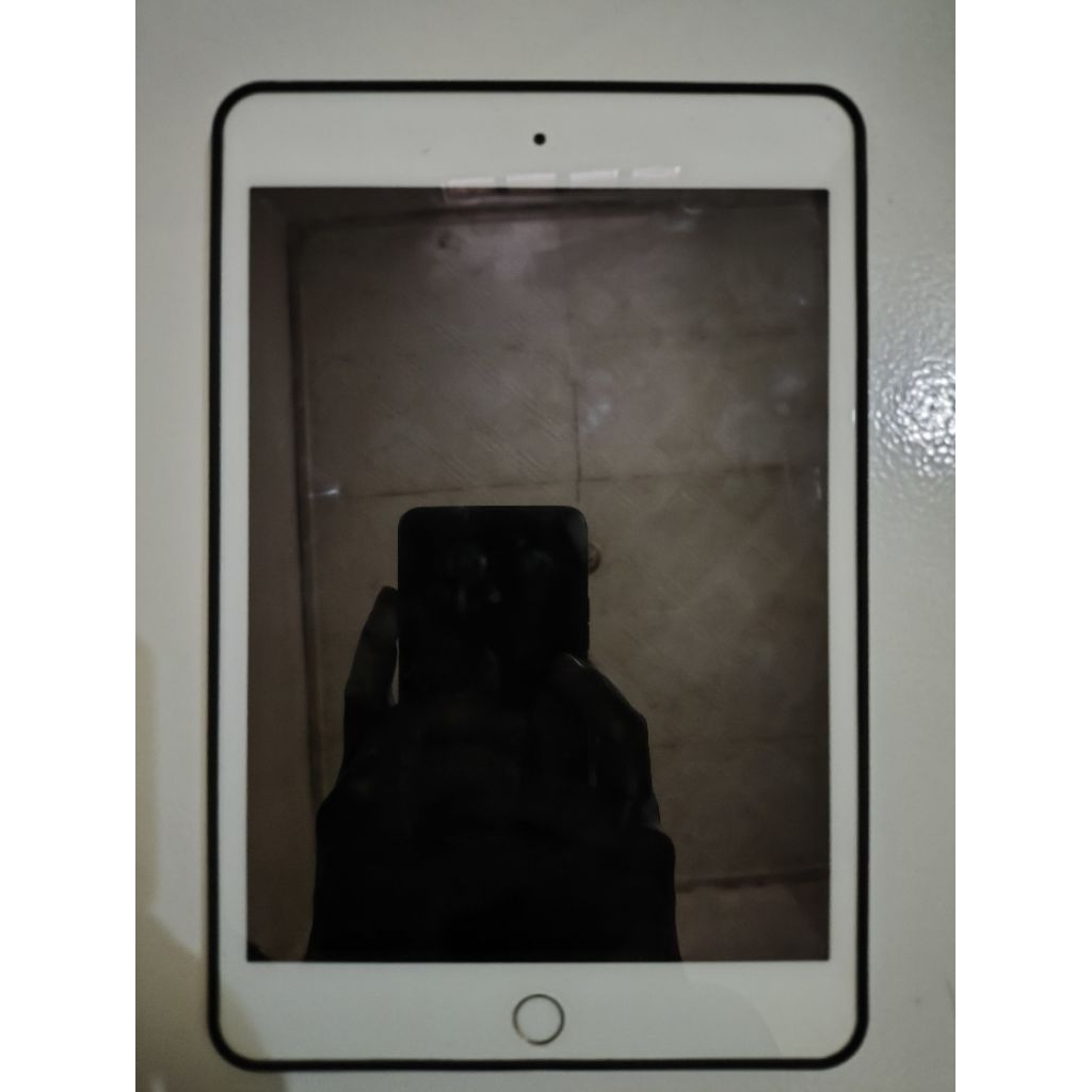 ipad mini 5 ori