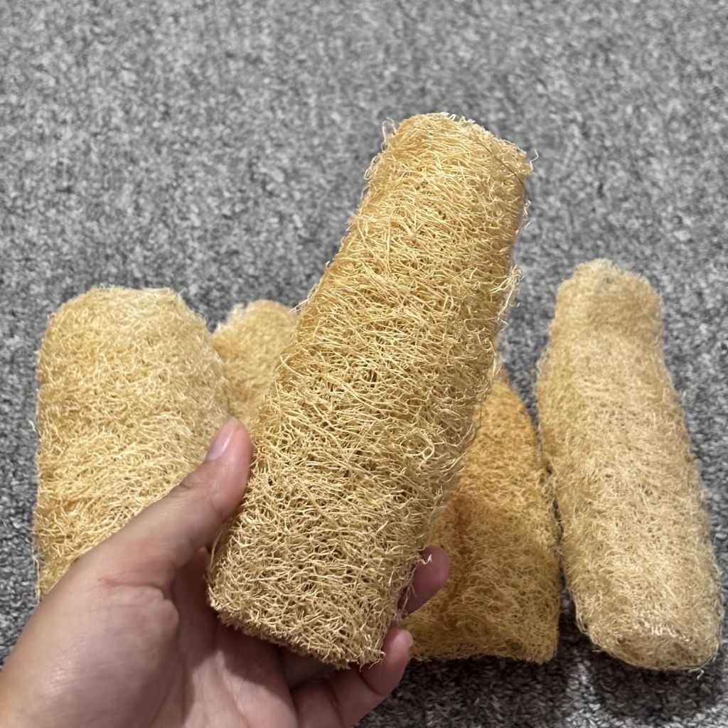 Spons Loofah Sikat Cuci Piring Alami Serat Oyong Kering Gambas Loofah Luffa