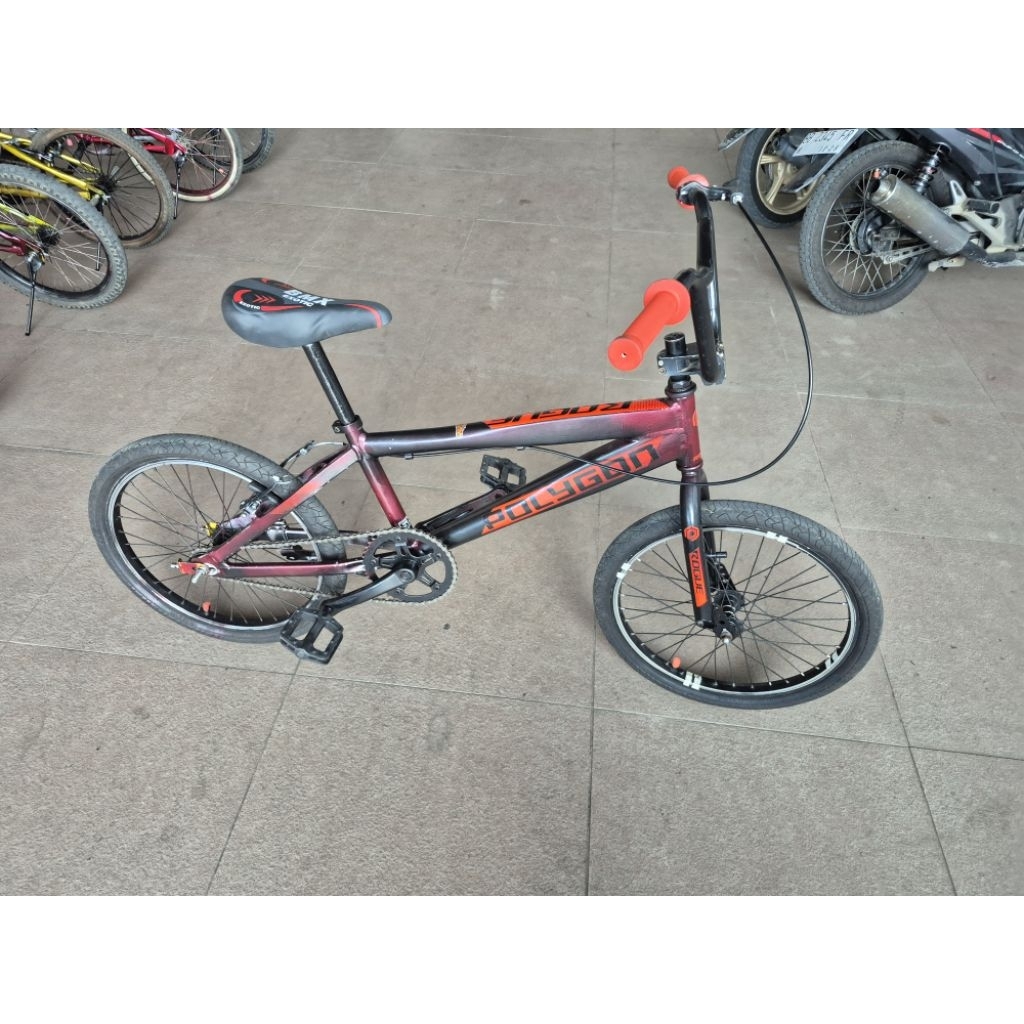 bmx alloy custom polygon