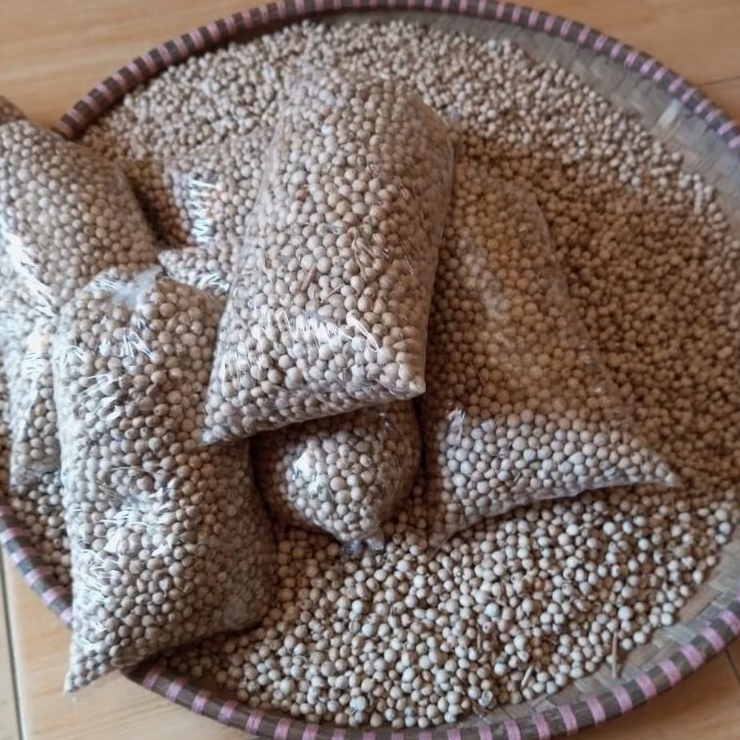 Gabah Super Biji Jali-Jali Ketan 1 Litter 1000 Biji