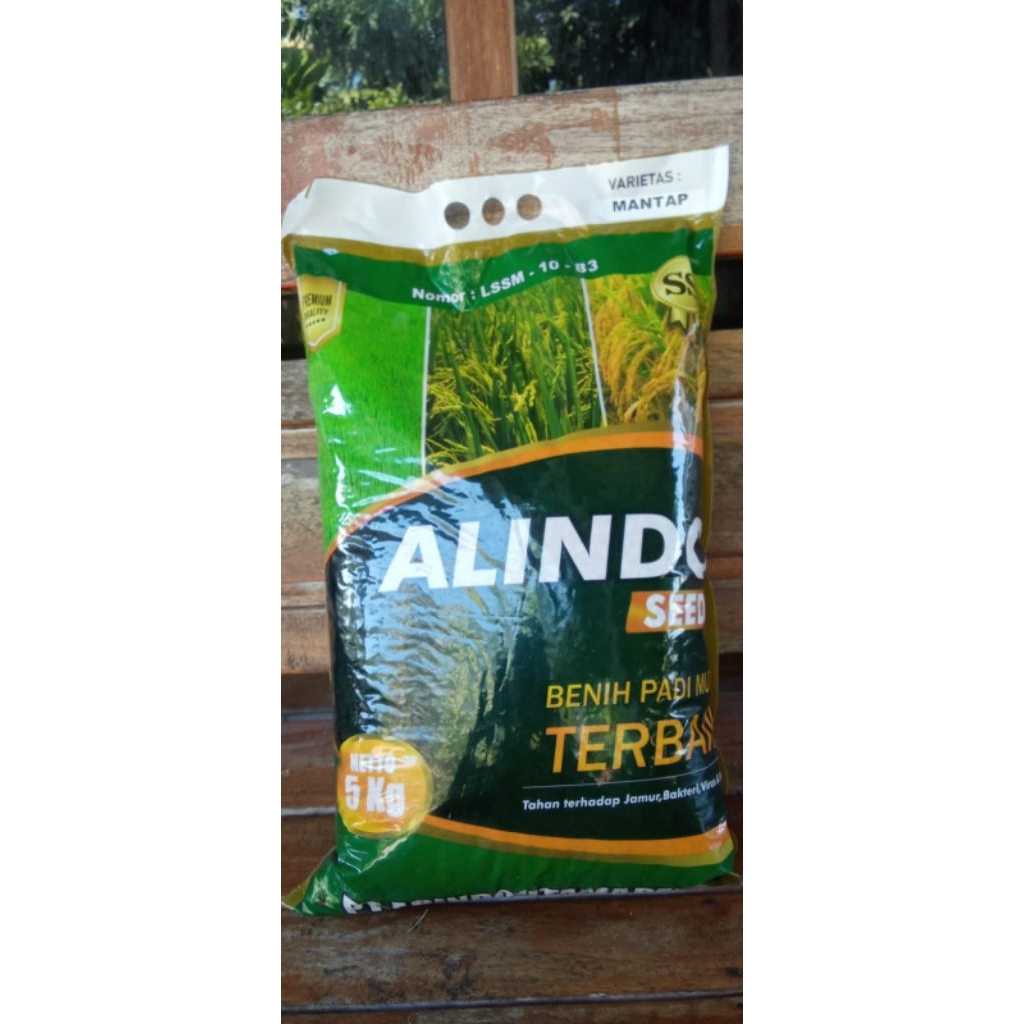 Benih Padi Varietas Mantap kemasan 5kg