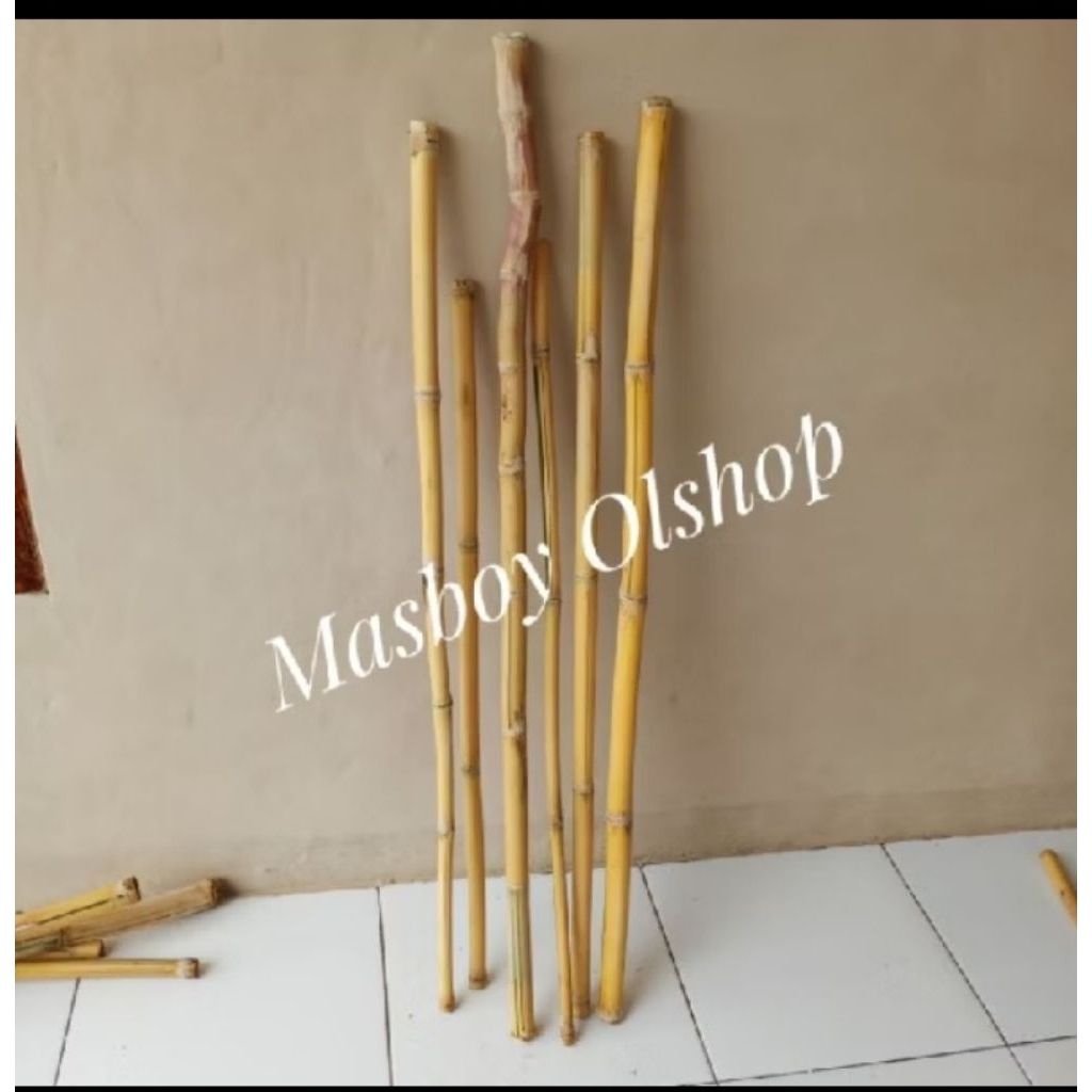 Tongkat Jalan Bambu Kuning Bertuah / Tongkat Kayu Bertuah