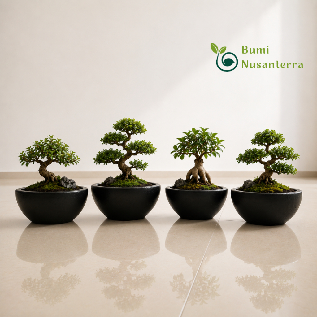Bons Pottery - Pot Bonsai | Pot Gerabah Tanah Liat | Pot Bonsai Gerabah by Bumi Nusanterra