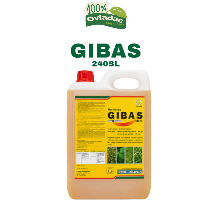 HERBISIDA GIBAS 240 SL OVC 5 LITER | OBAT RUMPUT PEMBASMI GULMA PERTANIAN PENGENDALI RUMPUT LIAR