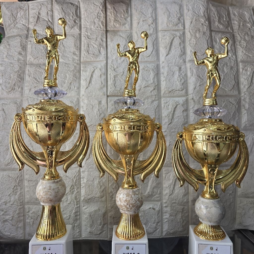 PIALA TROPHY BOLA VOLLY PUTRA VOLLY PUTRI BODY ROYAL ONIK