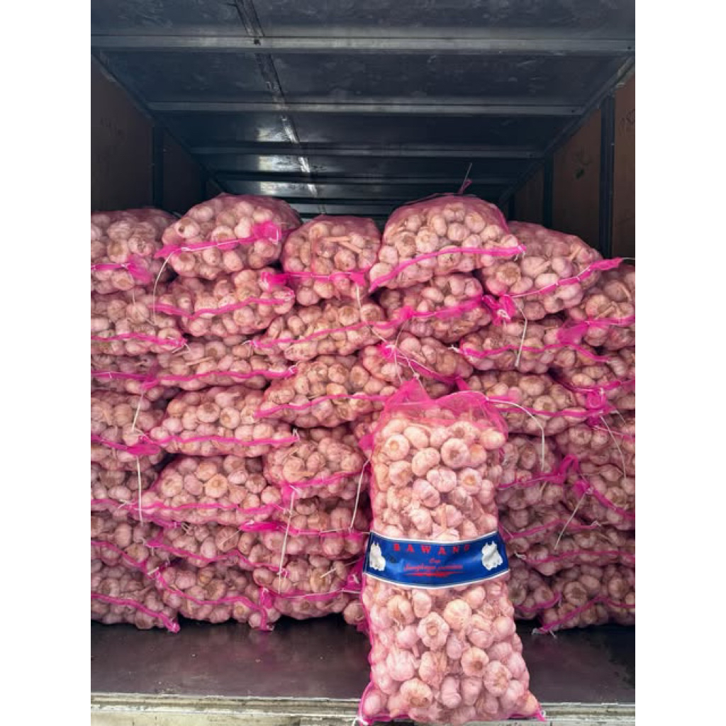 bawang putih honan bersih sudah kupas 1 karung fresh dan segar
