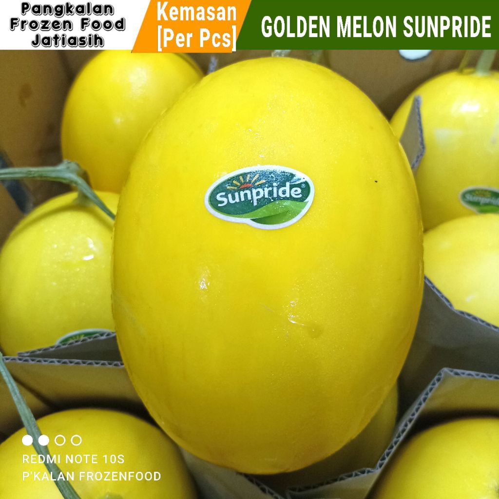 Golden Melon Sunpride [ Per Pcs ]