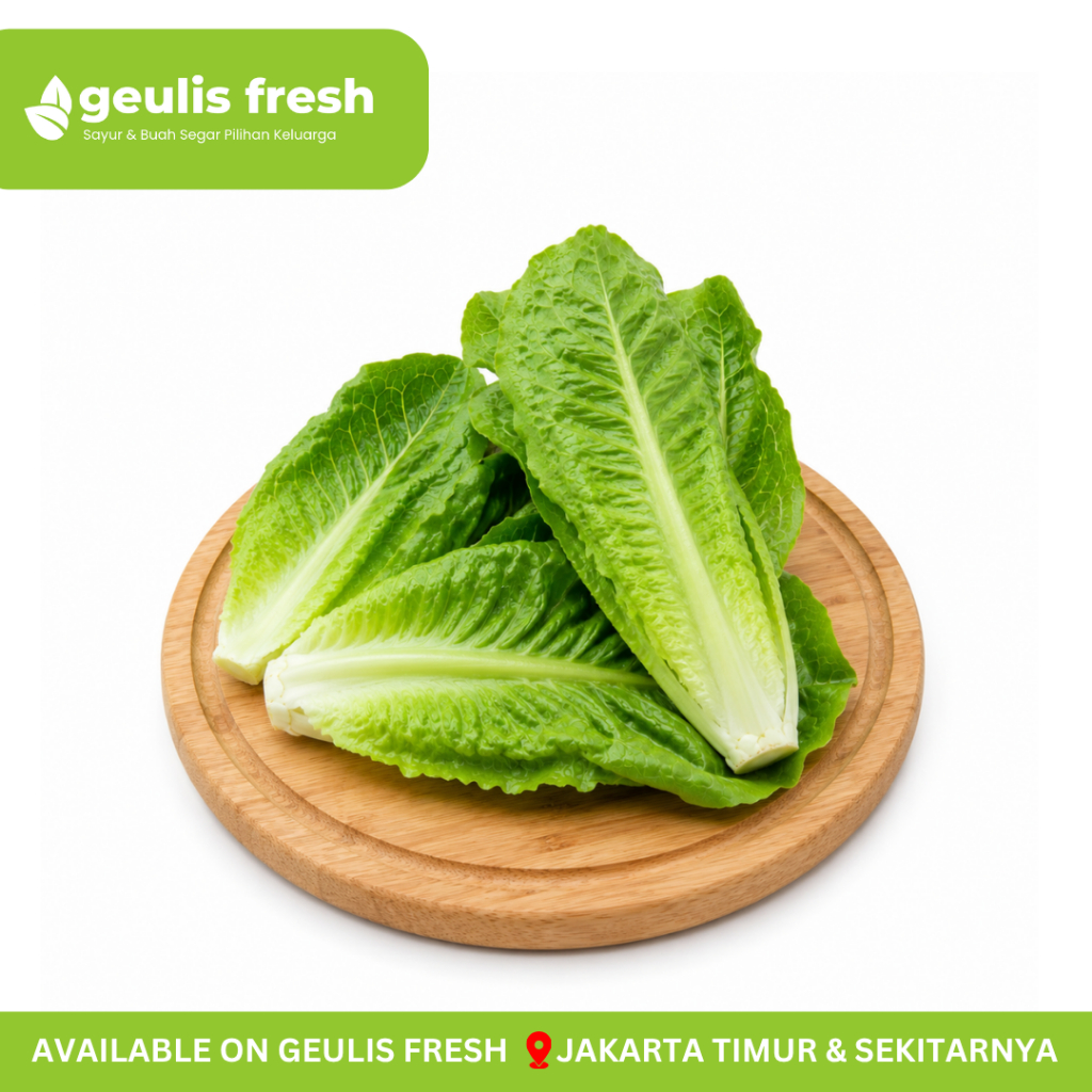Selada Romaine Lettuce Romaine Fresh | Sayur Buah Segar Jakarta Timur Geulis Fresh