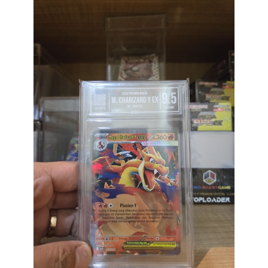 M. Charizard Y EX - EGS 9.5