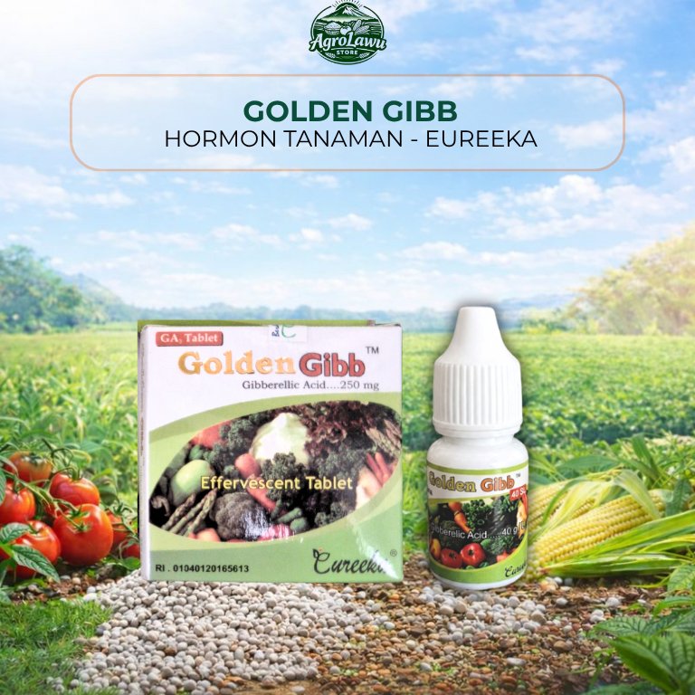 Golden Gib: Booster Pertumbuhan Maksimal, Panen Melimpah dengan Kualitas Jawara