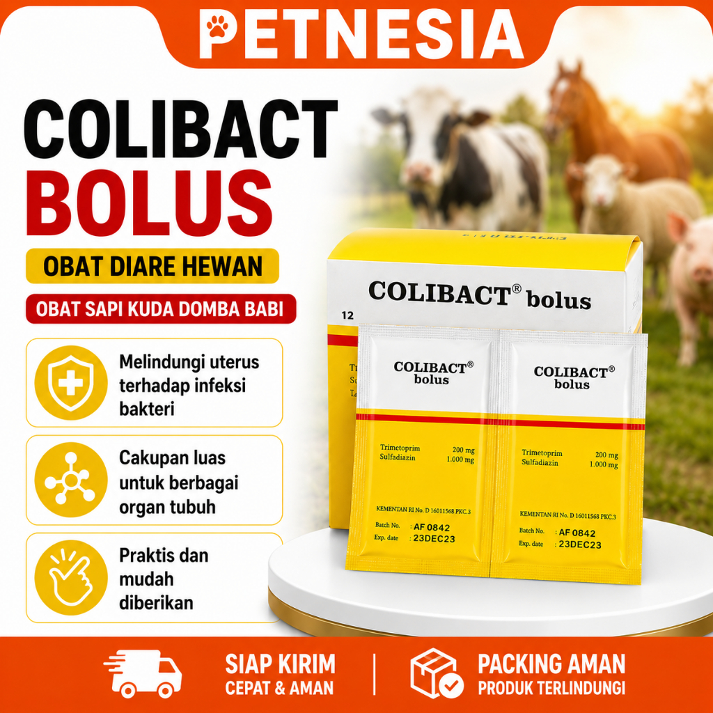ECER COLIBACT BOLUS OBAT DIARE HEWAN - Obat Sapi Kuda Domba Babi