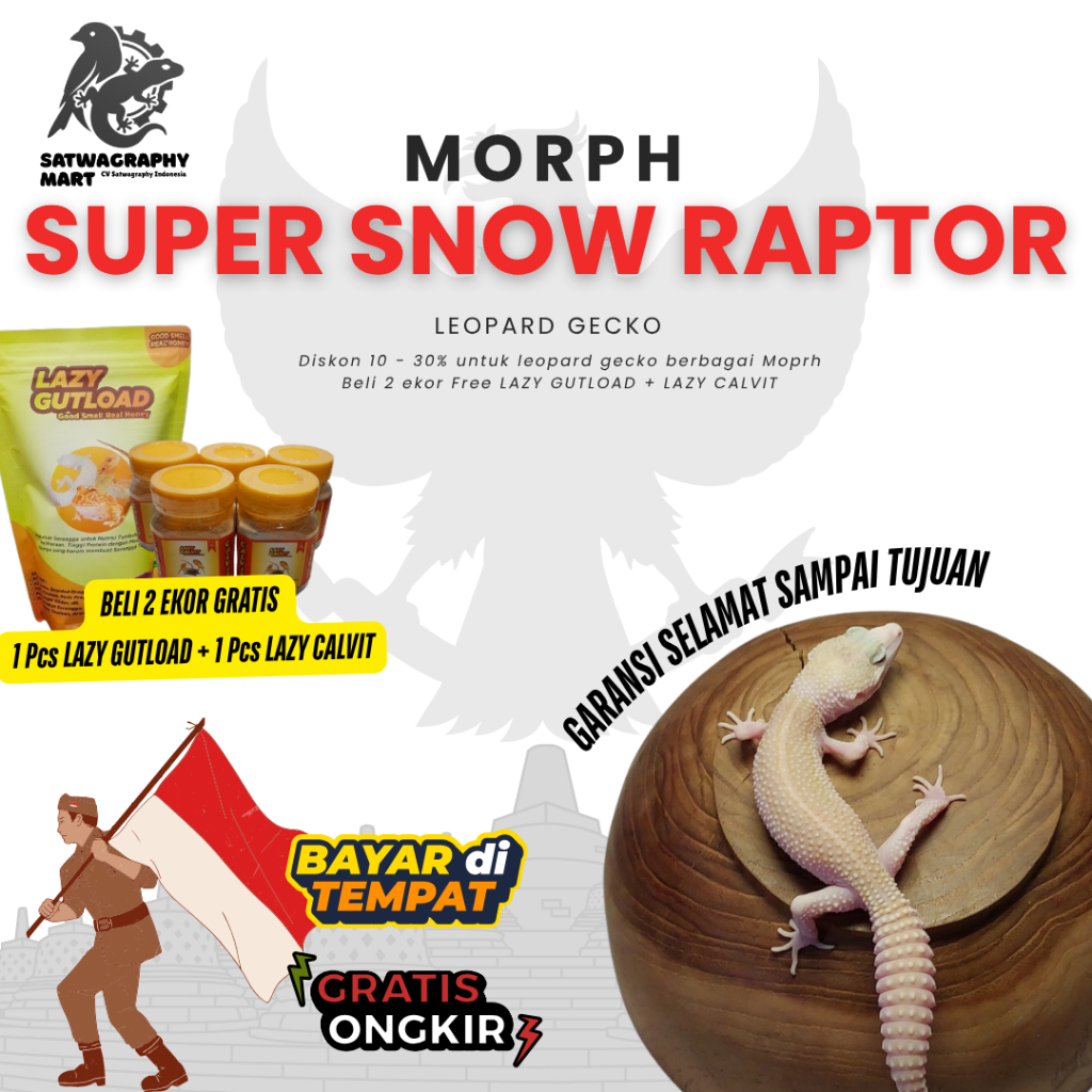 Mainan Anak GECKO Warna SUPER SNOW RAPTOR SSR