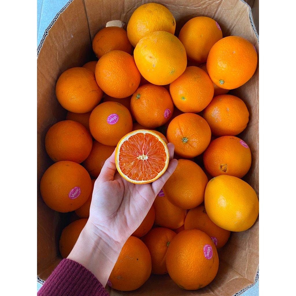 JERUK SUNKIST