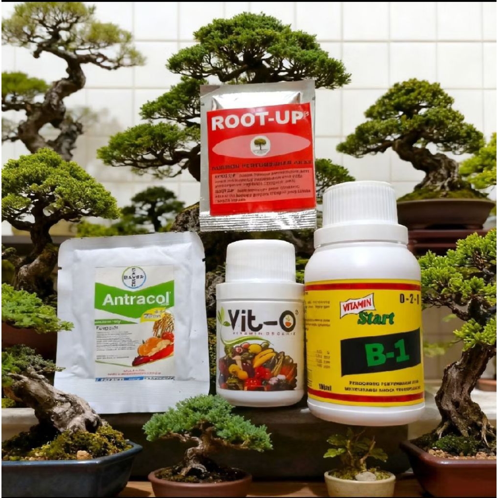 Paket Nutrisi Bonsai 4 in 1 - Vitamin B1 + Root Up + Vit-O + Fungisida Antracol