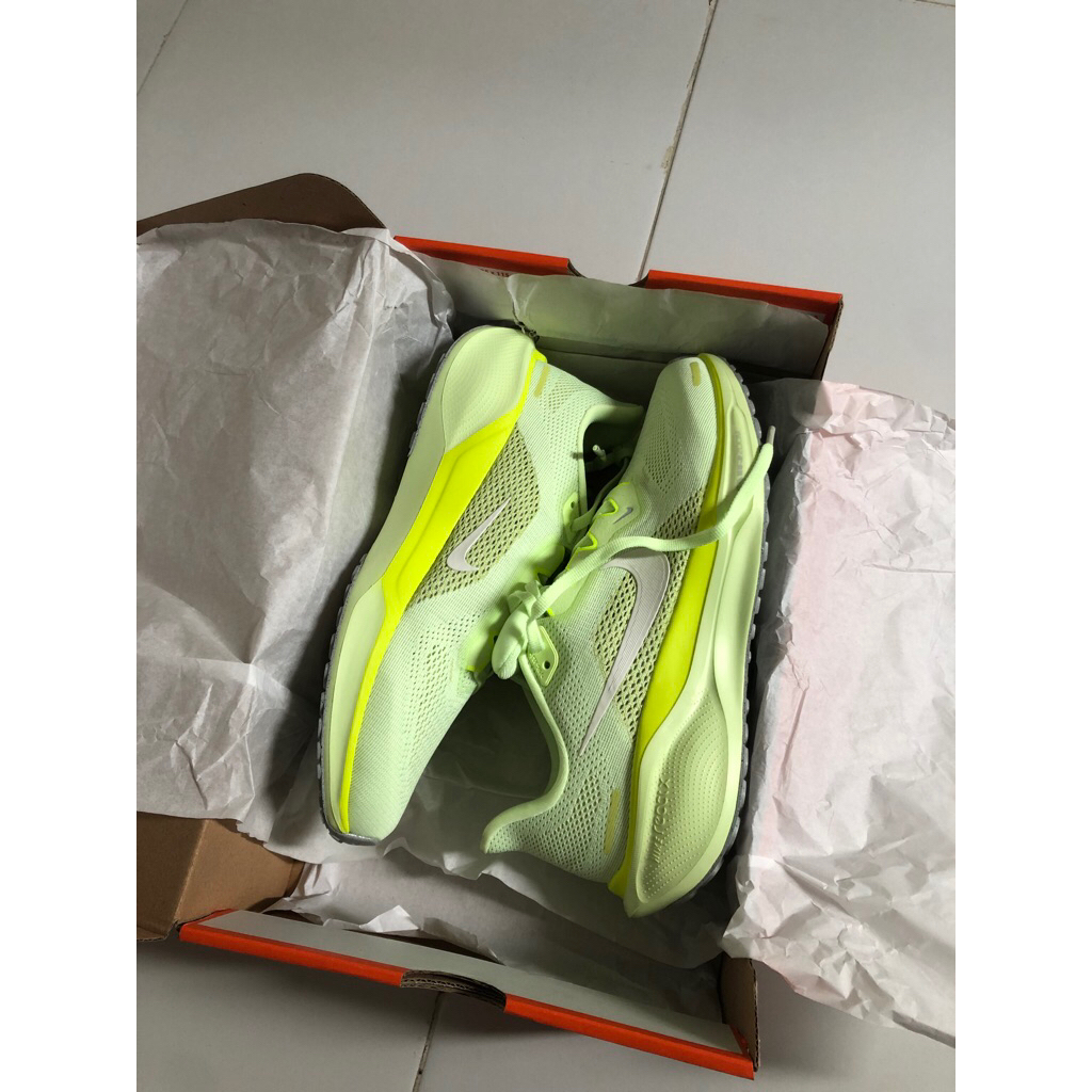 Nike Pegasus 41 Original