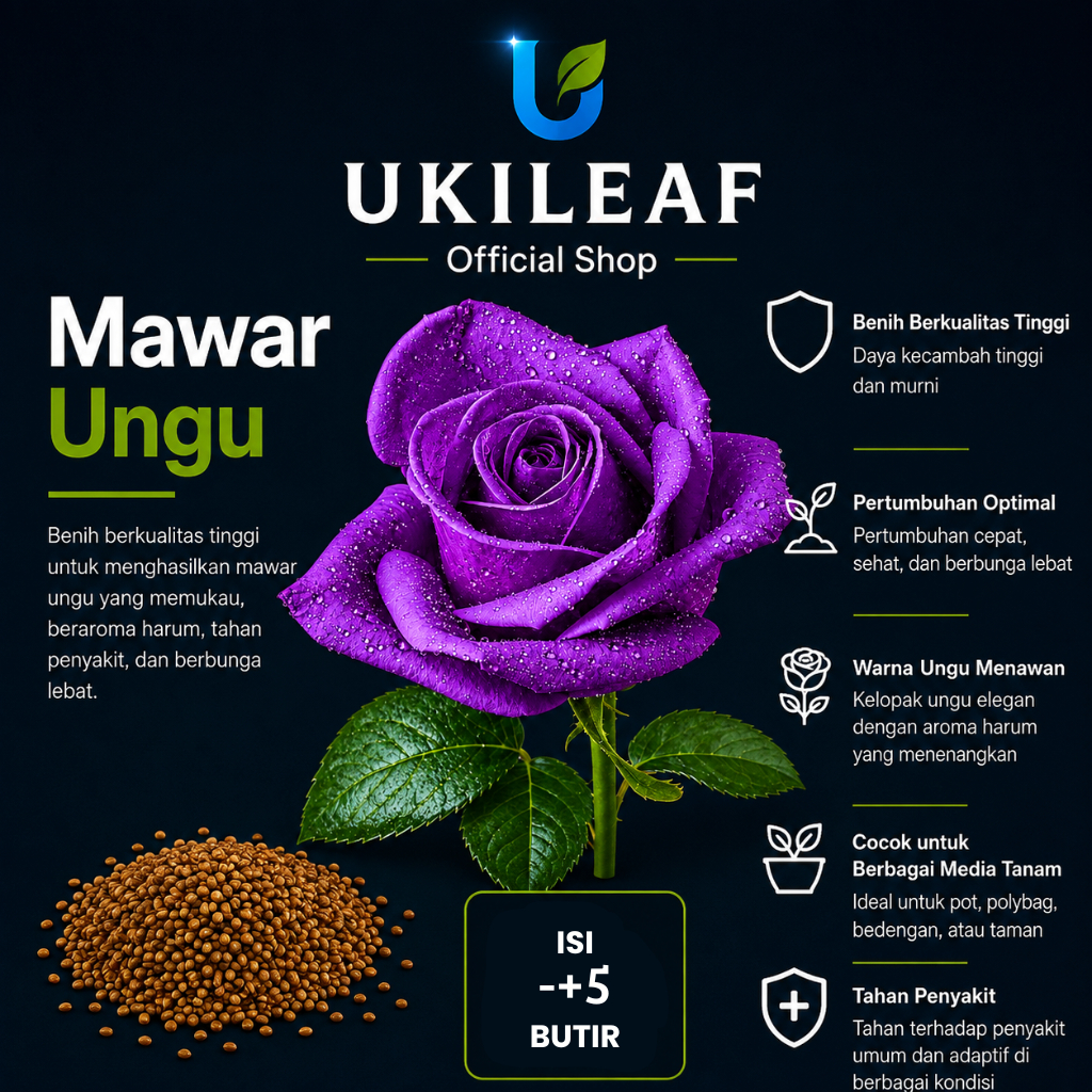 ( 5 Butir ) Benih Biji Bunga Mawar Ungu | Mawar Putih | Mawar Hitam | UKILEAF
