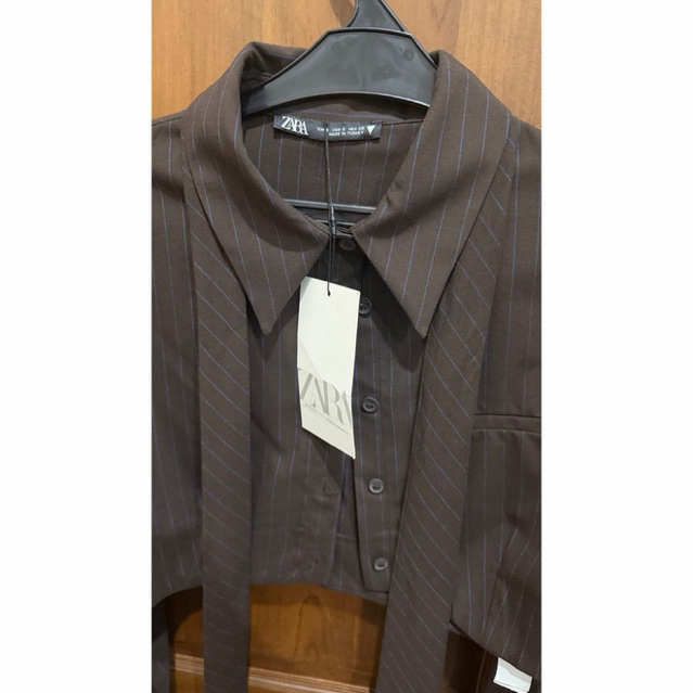 ZARA brown pinstripe cropped