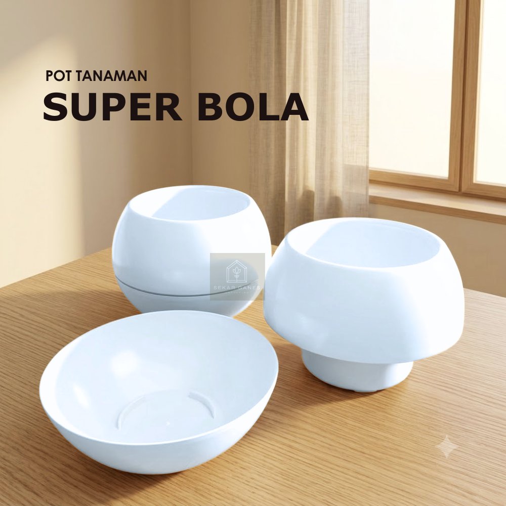 Pot Super Bola 14 Cm Putih Pot Bulat Vienna Putih Coklat Besar Pot Bola Vienna 677 676 Anggrek Self 