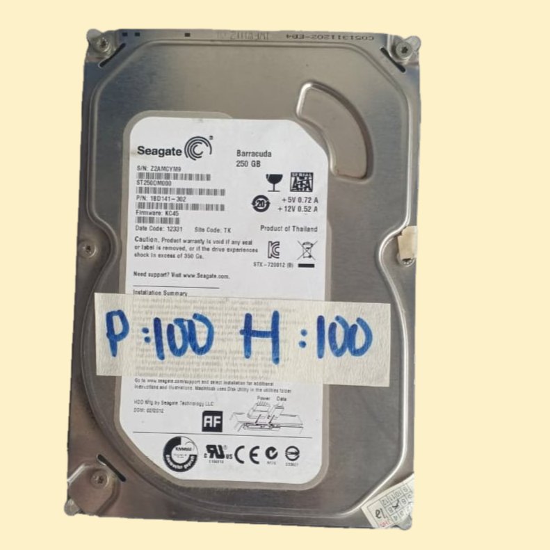 HARDISK SEAGATE 250 GB