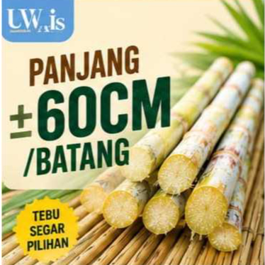 TEBU HIJAU MANIS MURNI SEGAR PREMIUM – MANIS ALAMI & SIAP DIKONSUMSI - TEBU UWAIS