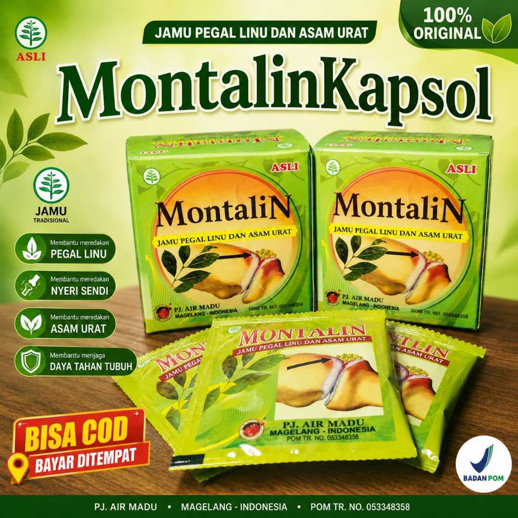 MontalineKapsole-asmyurat-pegallinueDLL