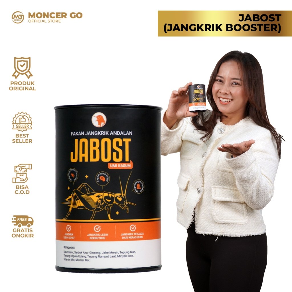 Jabost Umi Kasum Pakan Jangkrik EF Murai Batu Biar Gacor Rajin Bunyi