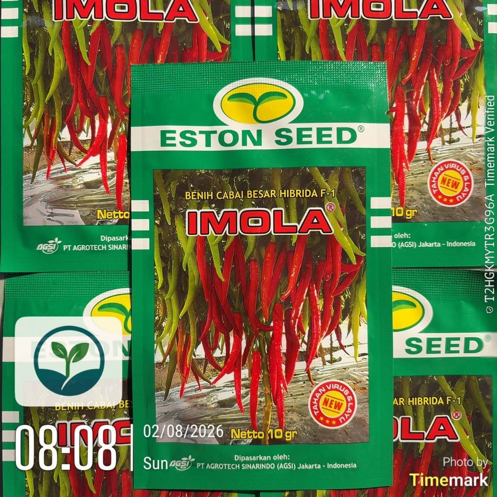 Benih Cabe Besar Imola New F1 10 Gram - Bibit Cabe Imola