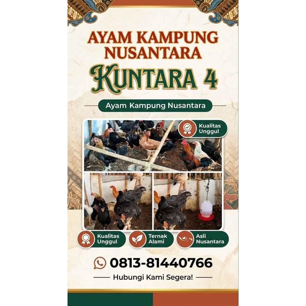 Qurban Desa Domba Tanduk - Kambing Qurban 2025