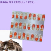 Cystaid Plus CystaidPlus Kapsul Obat Gangguan Saluran Kencing Kucing