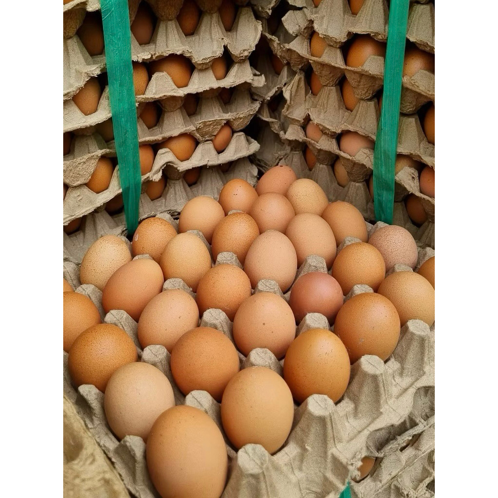 Telur Ayam 1 krat - Berkualitas, Segar - 1 krat