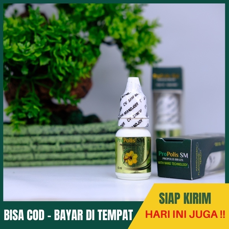 Propolis SM Brazil 6ml - Obat Keloid & Ambeien Alami, Propolis Murni