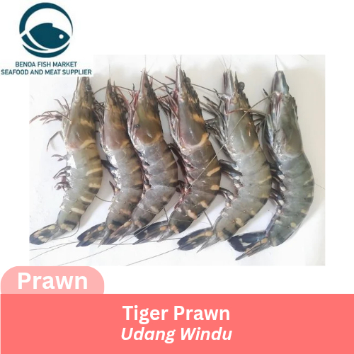 udang tiger windu size 40 30 25 20 15 10 prawn