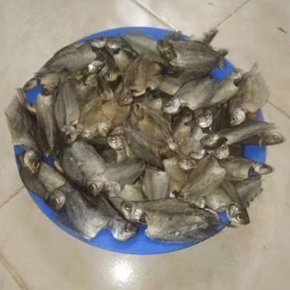 Iwak karing sapat Ikan kering sepat