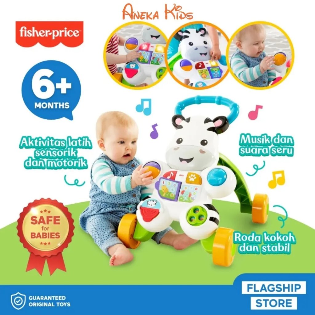 Fisher Price Infant Zebra Push Walker DLF00 / PushWalker Baby