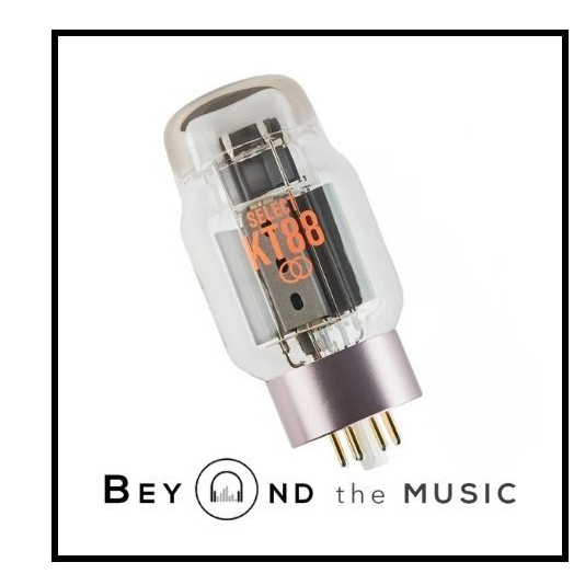Ray Tubes SELECT KT88 / KT 88 Vacuum Tube