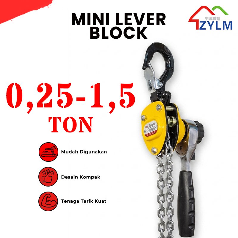 Aoge Mini Hoist Chain Lever Block 0.5 Ton x 3 Meter