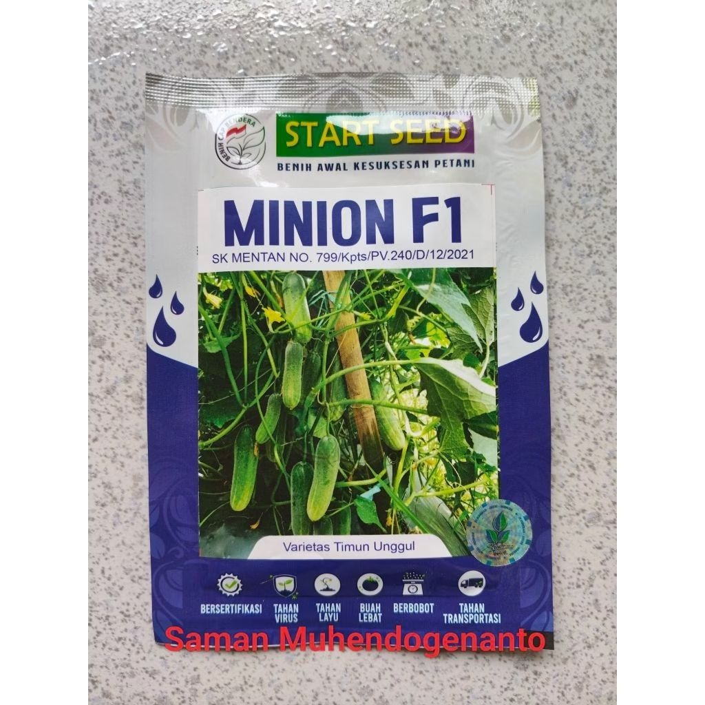 Benih Timun baby MINION F1 20 gram Star Seed - Bibit Timun Mentimun MINION F1