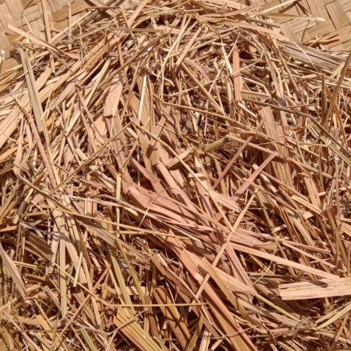 100 gram Daun Alang Alang Kering / Daun Ilalang Kering Herbal Alami