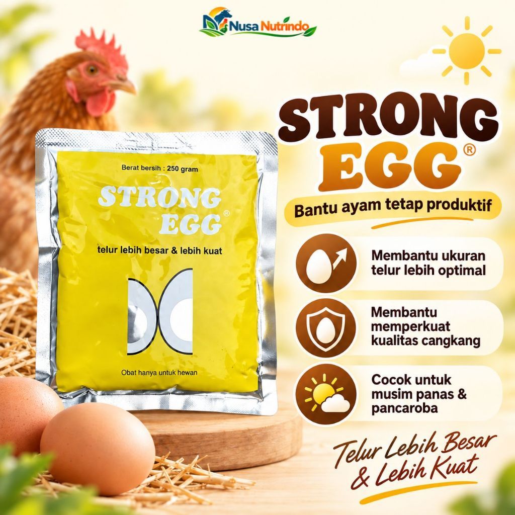 Egg Strong Ayam Petelur 250gr Vitamin B Complex B Complex Vitamin Hewan Kalsium Ayam Petelur Pakan A