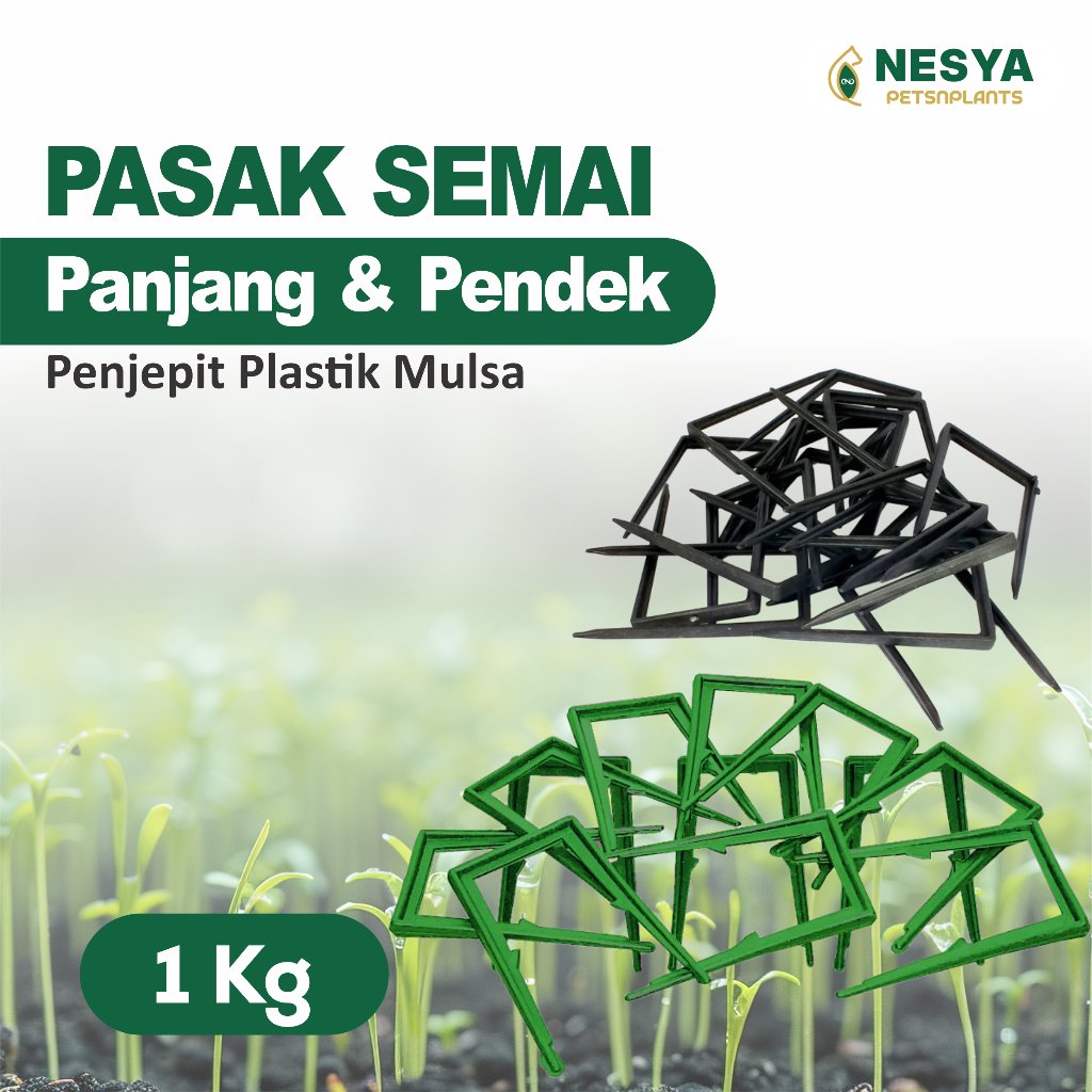 Pasak 1 Kg Panjang & Pendek Penjepit Plastik Mulsa - Pasak Panjang Mulsa Paku Mulsa