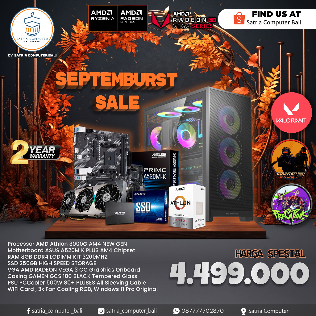 PC / Komputer Gaming AMD Athlon 3000G 8GB 256GB Windows 11