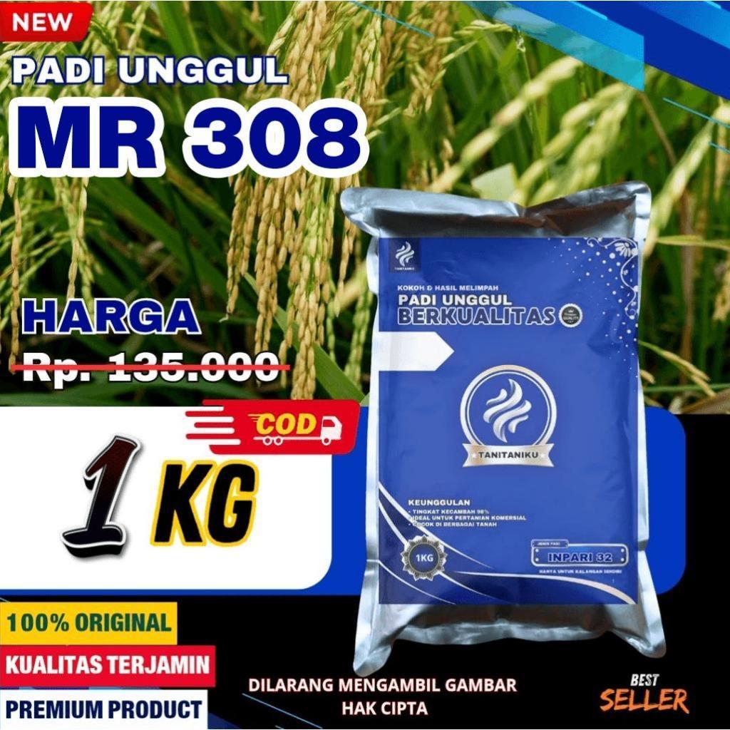 Benih padi Bibit padi Mr 308 Kualitas super premium original