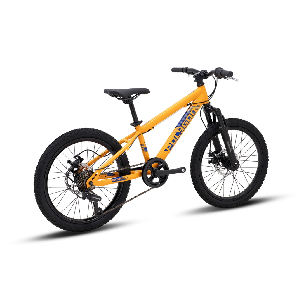 SEPEDA POLYGON MTB 20 MAZE M20