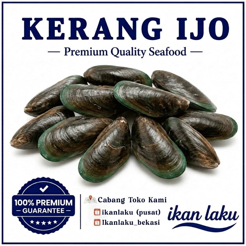 Ikan Laku – Kerang Hijau – Kerang Ijo Kerang Frozen Segar Laut Bersih Premium Seafood Siap Masak