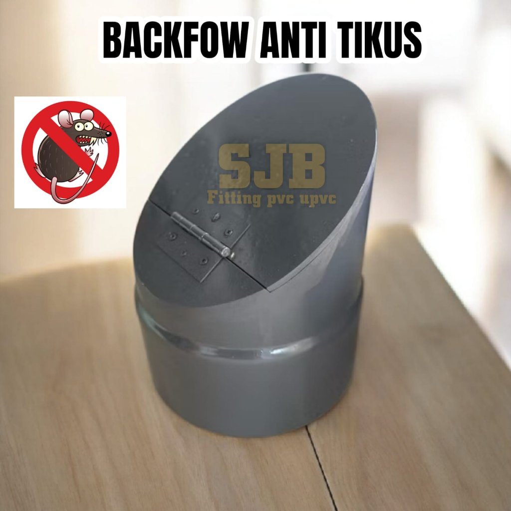 BACKFLOW PVC 2 INCHI