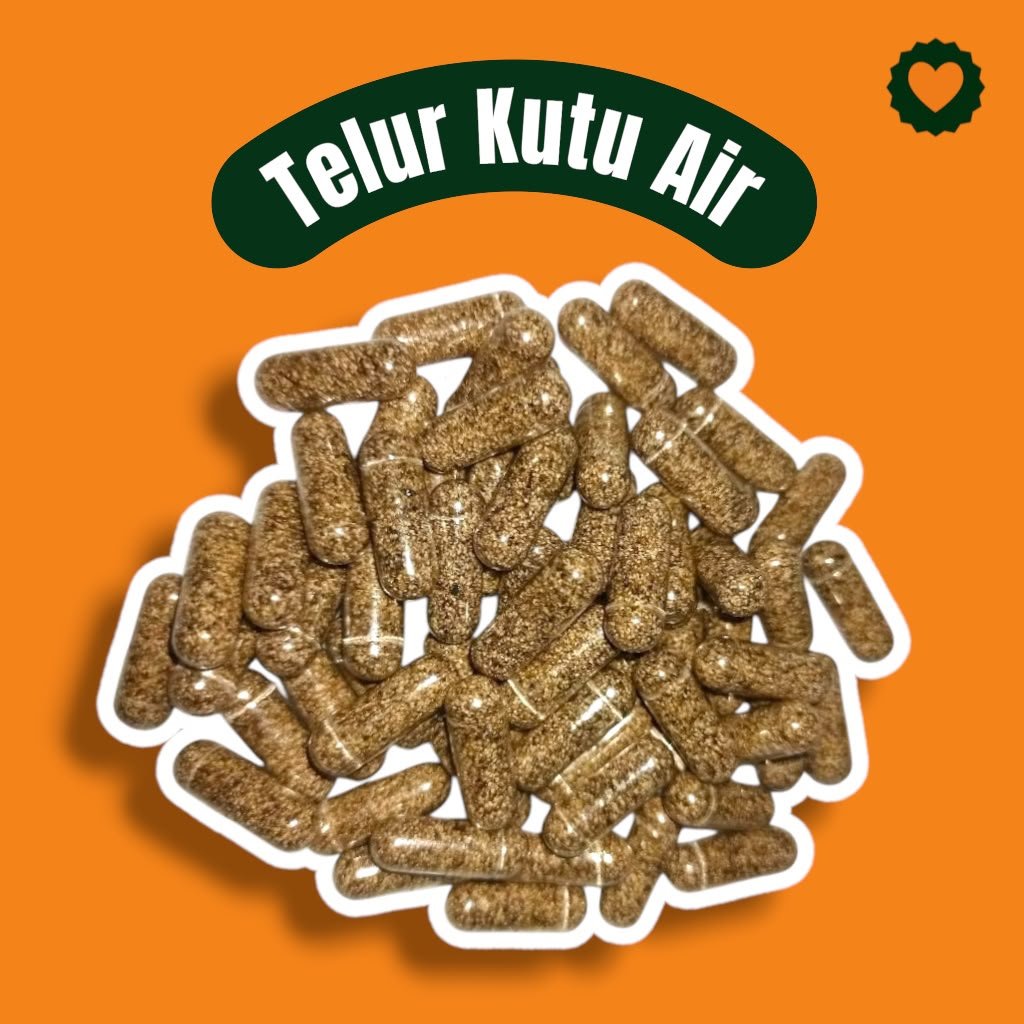 Telur Kutu Air Moina Macrocopa