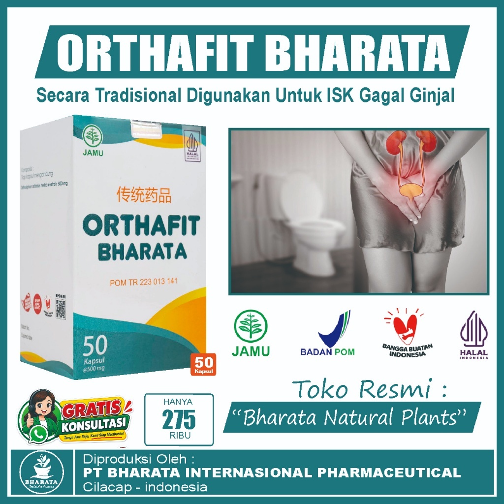 ORTHAFIT BHARATA Original 50 Kapsul Obat Herbal Ginjal, ISK, Batu Ginjal & Prostat - Membantu Melanc