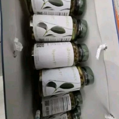 tegreen97 isi 120kapsul pharmanex expired2027