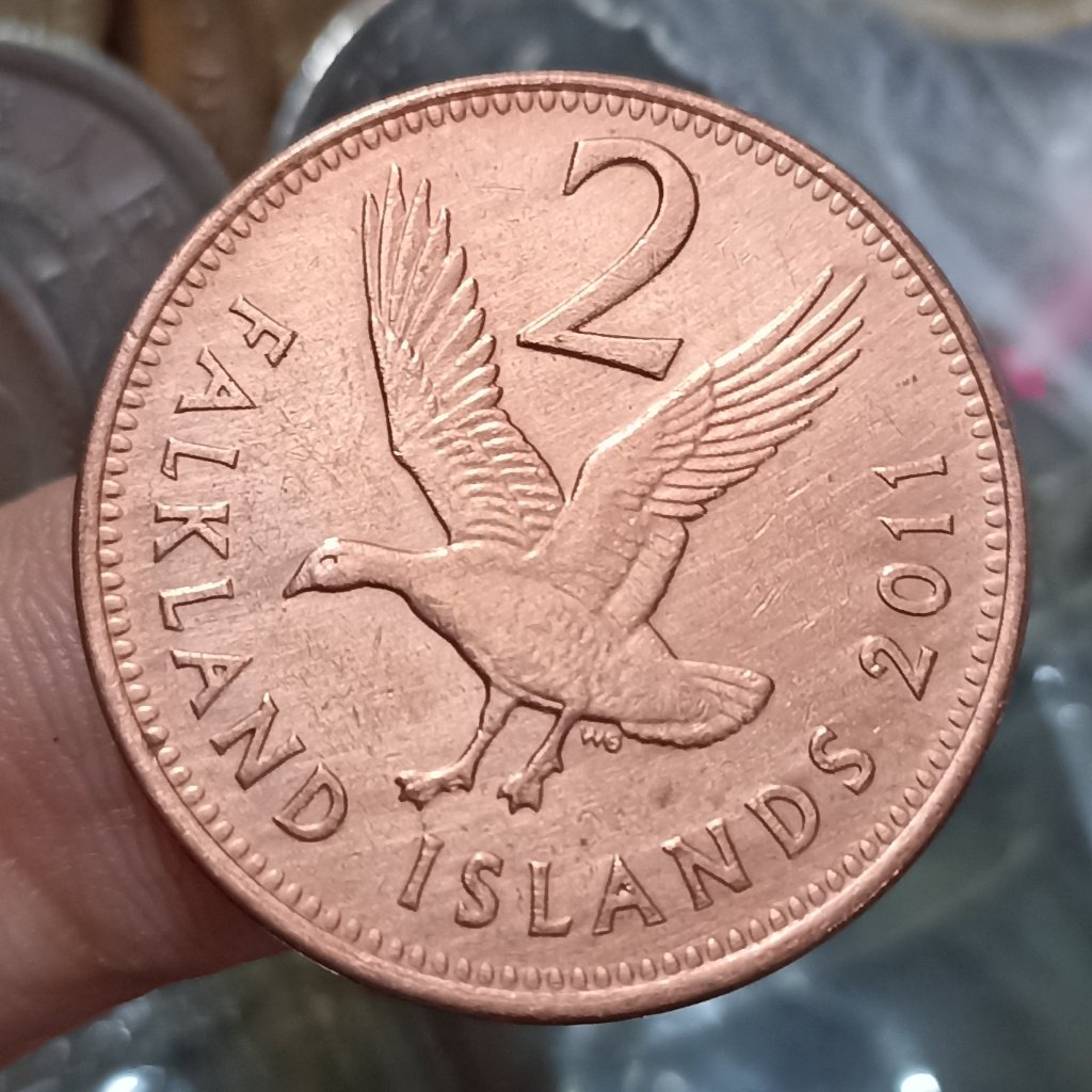 Koin Kuno Falkland 2 Pence - Elizabeth II Tahun 2011
