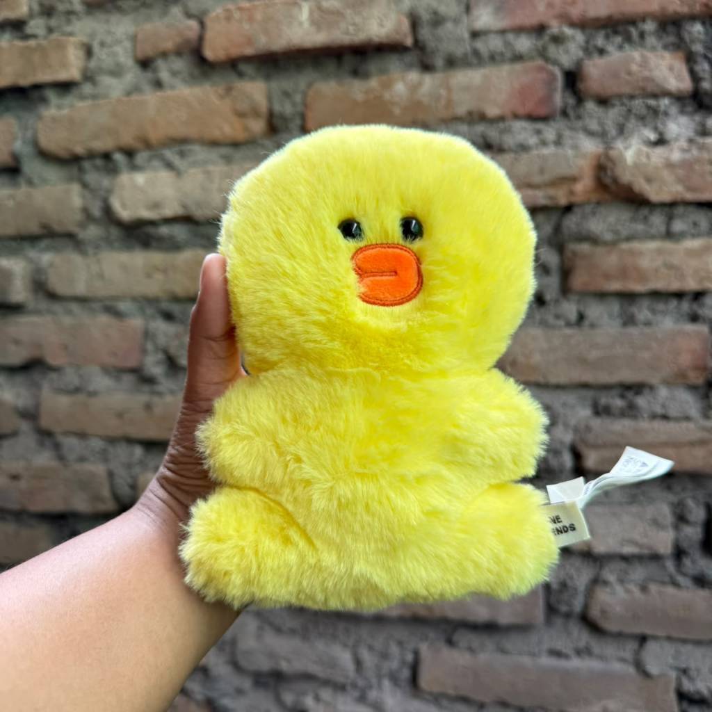 BonekaSally Line Friends Lucu Lembut